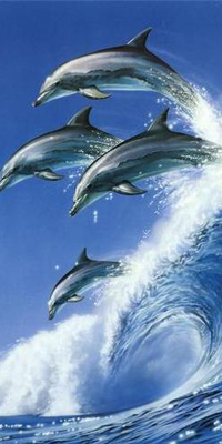 12米渔政艇设计